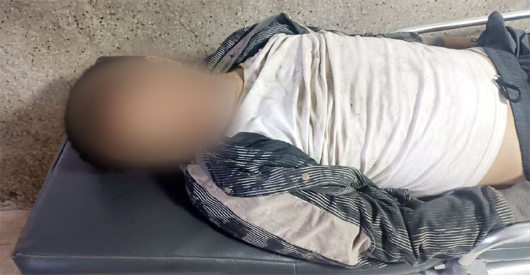 শিবচরে ট্রাক-পিকআপ সংঘর্ষে চীনা সার্ভেয়ার নিহত