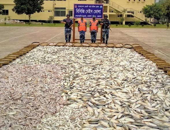 ভোলার মেঘনায় ইলিশসহ ১৩৮ মণ মাছ জব্দ