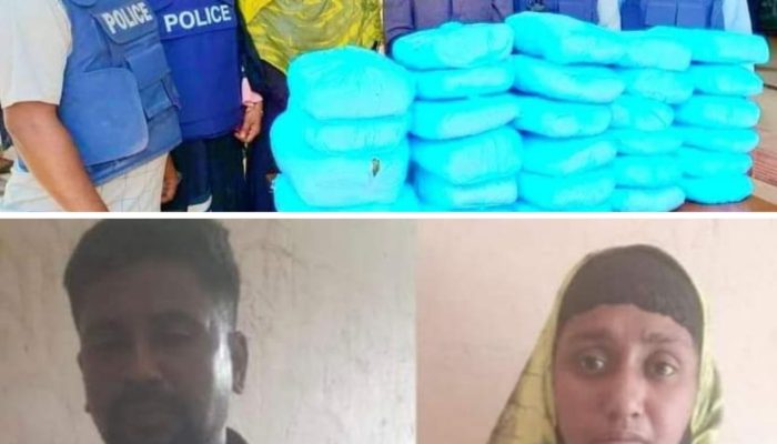 ফুলগাজীতে ৩০ কেজি গাঁজা সহ আটক ২