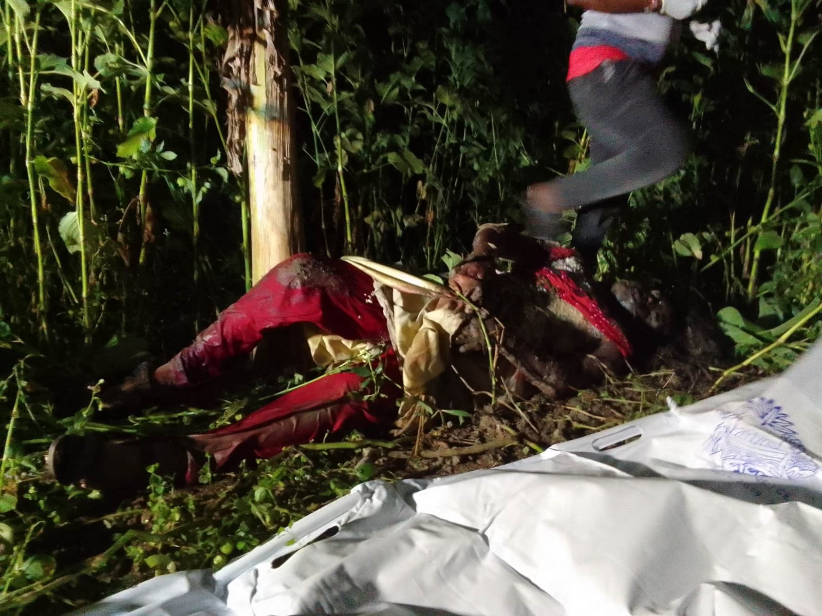 নিখোঁজ মাদ্রাসাছাত্রীর মরদেহ মিললো জঙ্গলে, স্বজনদের দাবী হত্যা