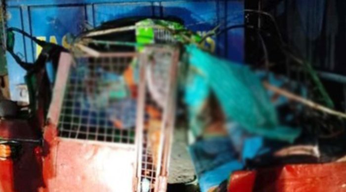 কালীগঞ্জে সিএনজি-ট্রাক মুখোমুখি সংঘর্ষ, নিহত যাত্রী