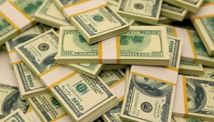 ১৯৭৩ সালের পর সবচেয়ে বড় পতনের মুখে ডলার