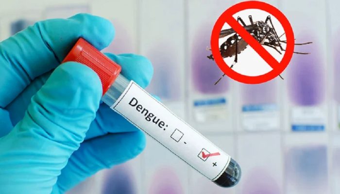 ২৪ ঘণ্টায় ডেঙ্গু আক্রান্ত ৪১৬ জন, মৃত্যু ১