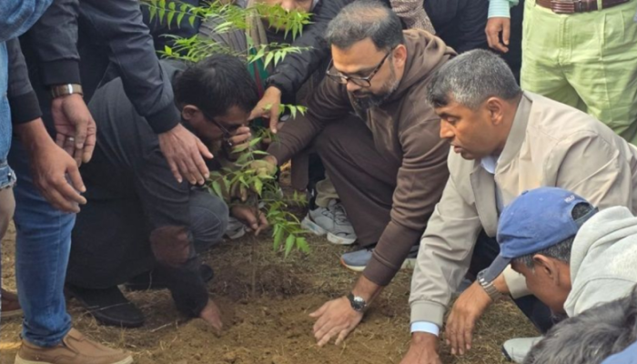 তিনশ ফিটে ক্ষতিগ্রস্ত বৃক্ষের জায়গায় বিএনপির নতুন বৃক্ষরোপণ